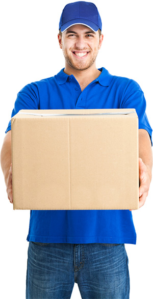 Customs Clearance
